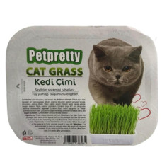 Pet Pretty Kedi Çimi