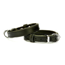 Doggie Yumuşak Dokulu Sade Köpek Boyun Tasması Siyah SBT-1510 M