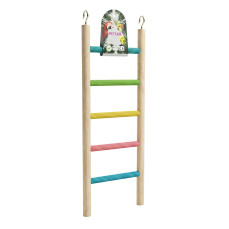 Teng 5 Basamaklı Merdiven Kuş Oyuncağı 31x12 cm