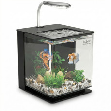 Nubios Nano Easy Tank Ledli Siyah 4.5 lt