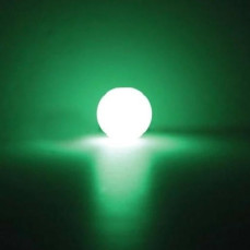 ChuckIt! Max Glow Gece Parlayan Köpek Oyun Topu (XL Boy)