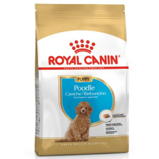 Royal Canin Poodle Yavru Köpek Maması 3 kg