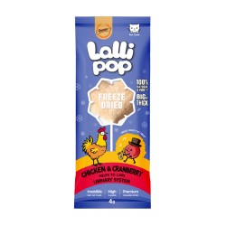 Gnawlers Tavuklu Yaban Mersinli Lolipop Kedi Ödülü 4gr