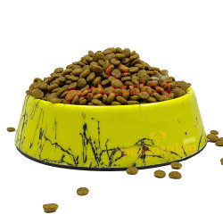 Wanpy Tahılsız Somonlu Yetişkin Kedi Maması 1KG