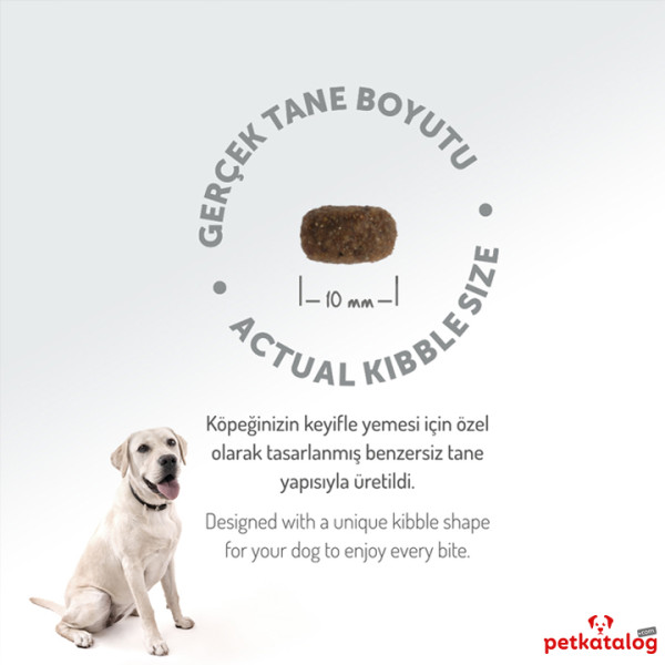 Felicia HypoAllergenic Kolajenli Az Tahıllı Kuzulu Küçük Irk Yetişkin Köpek Maması 3KG