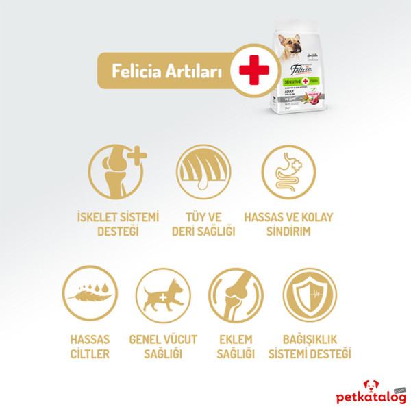 Felicia HypoAllergenic Kolajenli Az Tahıllı Kuzulu Küçük Irk Yetişkin Köpek Maması 6KG