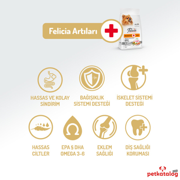 Felicia HypoAllergenic Kolajenli Az Tahıllı Somonlu Küçük Irk Yetişkin Köpek Maması 6KG
