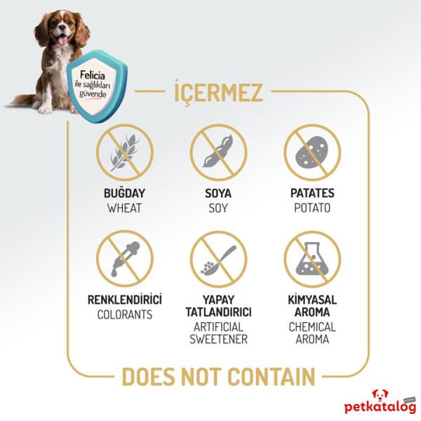 Felicia HypoAllergenic Kolajenli Az Tahıllı Somonlu Orta ve Büyük Irk Yetişkin Köpek Maması 15KG