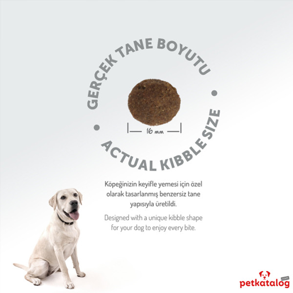 Felicia HypoAllergenic Kolajenli Az Tahıllı Somonlu Orta ve Büyük Irk Yetişkin Köpek Maması 15KG