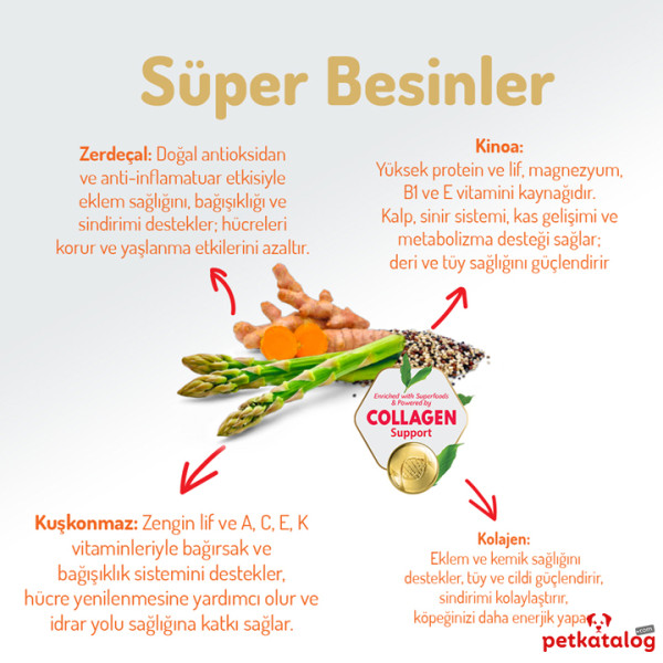 Felicia HypoAllergenic Kolajenli Az Tahıllı Somonlu Orta ve Büyük Irk Yetişkin Köpek Maması 15KG