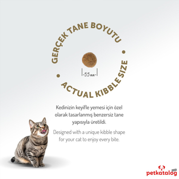 Felicia HypoAllergenic Kolajenli Kuzulu Az Tahıllı Yavru Kedi Maması 2KG