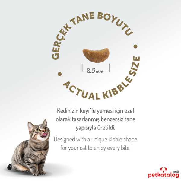 Felicia HypoAllergenic Kolajenli Kuzulu Az Tahıllı Yetişkin Kedi Maması 12KG