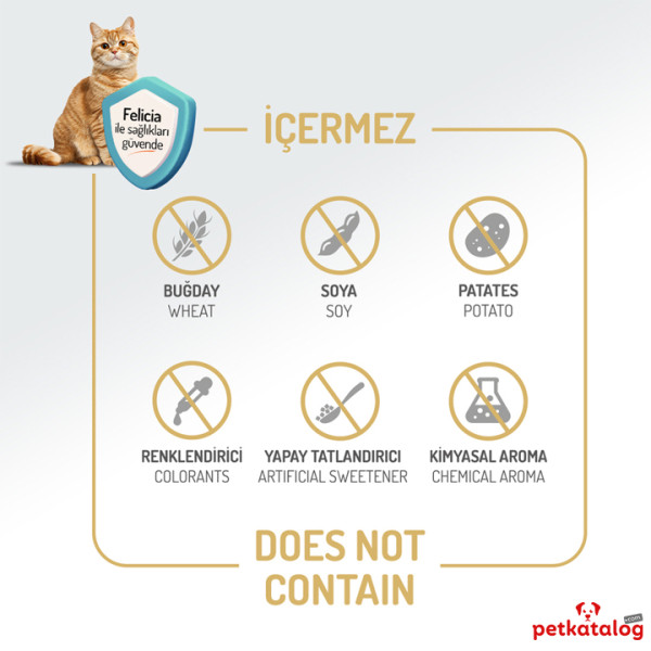 Felicia HypoAllergenic Kolajenli Somonlu Az Tahıllı Kısırlaştırılmış Kedi Maması 400GR