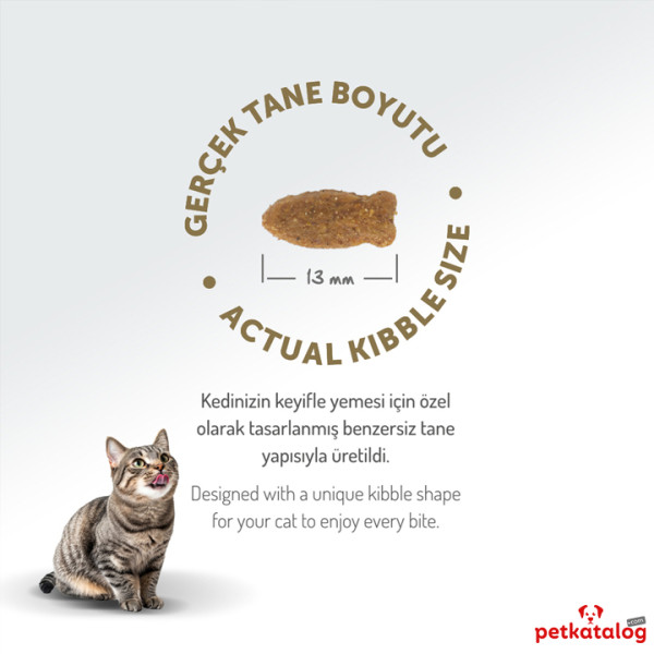 Felicia HypoAllergenic Kolajenli Somonlu Az Tahıllı Yetişkin Kedi Maması 2KG