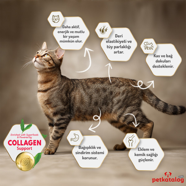 Felicia HypoAllergenic Kolajenli Tavuklu Az Tahıllı Kısırlaştırılmış Kedi Maması 2KG