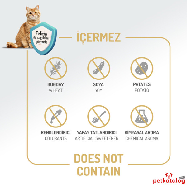 Felicia HypoAllergenic Kolajenli Tavuklu Az Tahıllı Yavru Kedi Maması 12KG