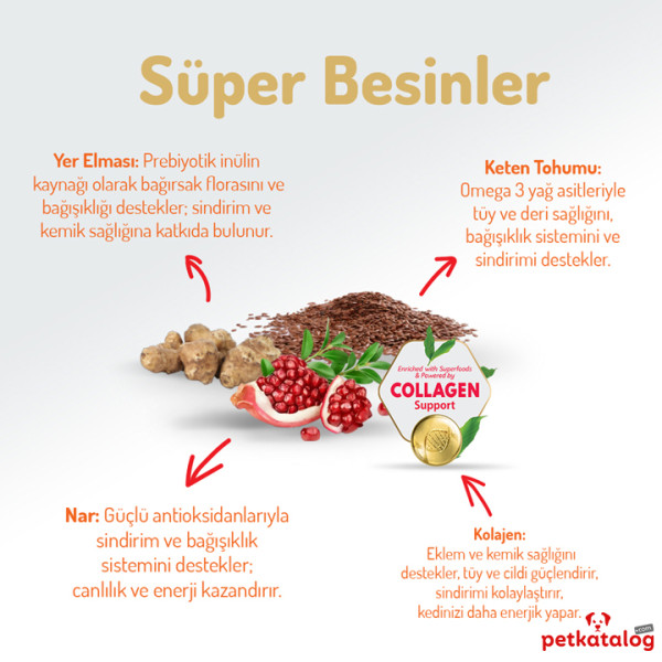 Felicia HypoAllergenic Kolajenli Tavuklu Az Tahıllı Yavru Kedi Maması 2KG