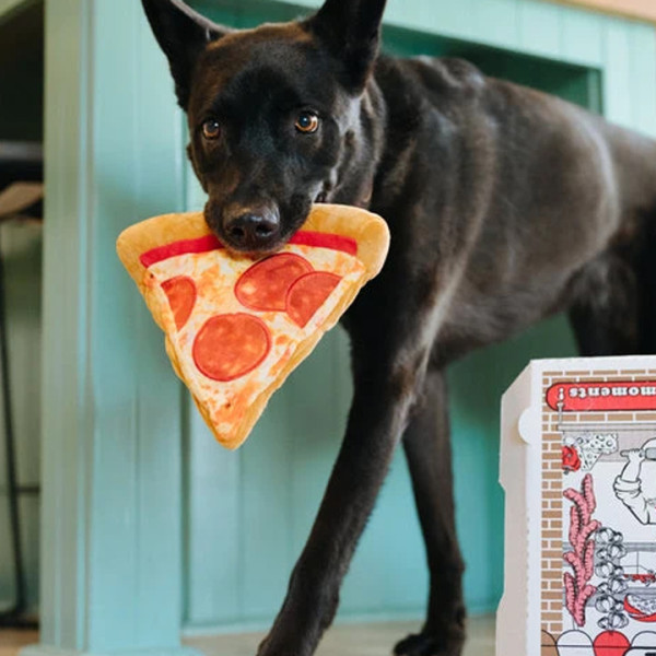 Play Pet Atıştırmalık - Pizza dilimi (Mini) Peluş Köpek Oyuncağı