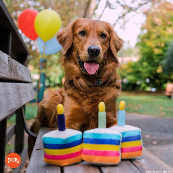 Play Pet Parti Zamanı - Pasta Peluş Köpek Oyuncağı
