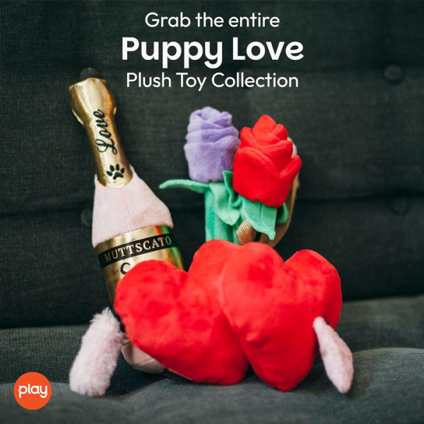 Play Pet Yavru köpek aşkı - Şampanya Peluş Köpek Oyuncağı