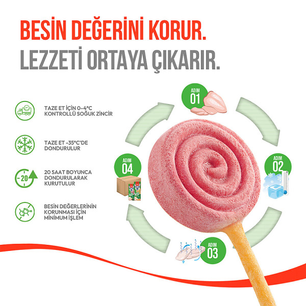 Wanpy LolliPop Dondurularak Kurutulmuş Yaban Mersinli Lolipop Köpek Ödülü 6 gr (10'lu)