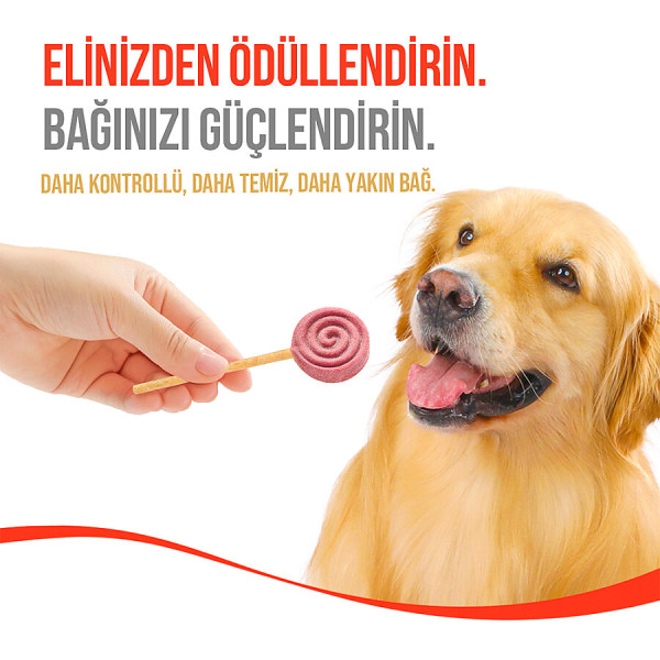 Wanpy LolliPop Dondurularak Kurutulmuş Yaban Mersinli Lolipop Köpek Ödülü 6 gr (10'lu)
