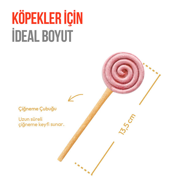 Wanpy LolliPop Dondurularak Kurutulmuş Yaban Mersinli Lolipop Köpek Ödülü 6 gr (10'lu)