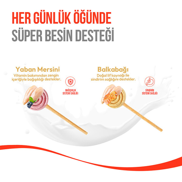 Wanpy LolliPop Dondurularak Kurutulmuş Yaban Mersinli Lolipop Köpek Ödülü 6 gr (10'lu)