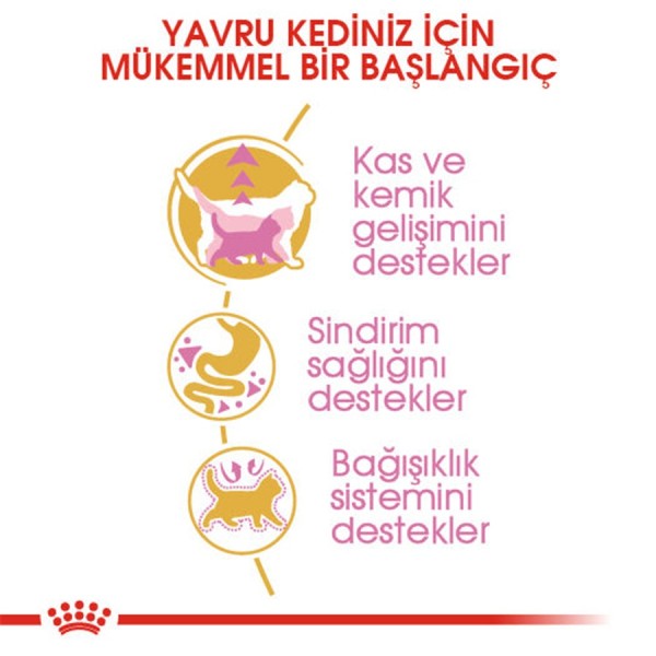 Royal Canin British Shorthair Kitten 2 kg British Shorthair Yavru Kedi Maması