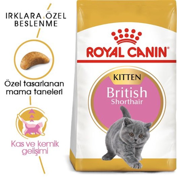 Royal Canin British Shorthair Kitten 2 kg British Shorthair Yavru Kedi Maması