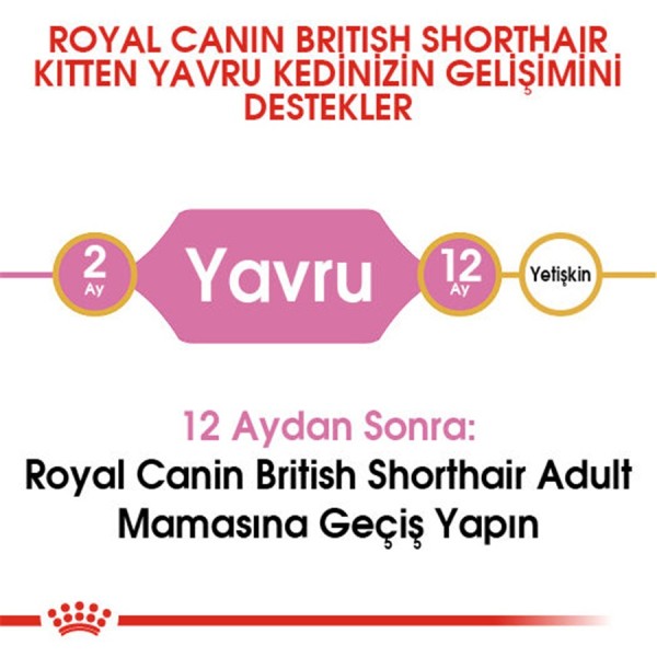 Royal Canin British Shorthair Kitten 2 kg British Shorthair Yavru Kedi Maması