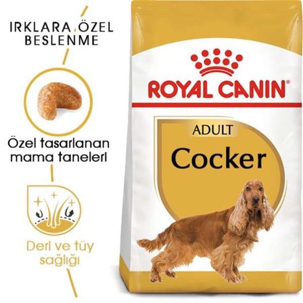 Royal Canin Cocker Adult 3 Kg Yetişkin Köpek Maması