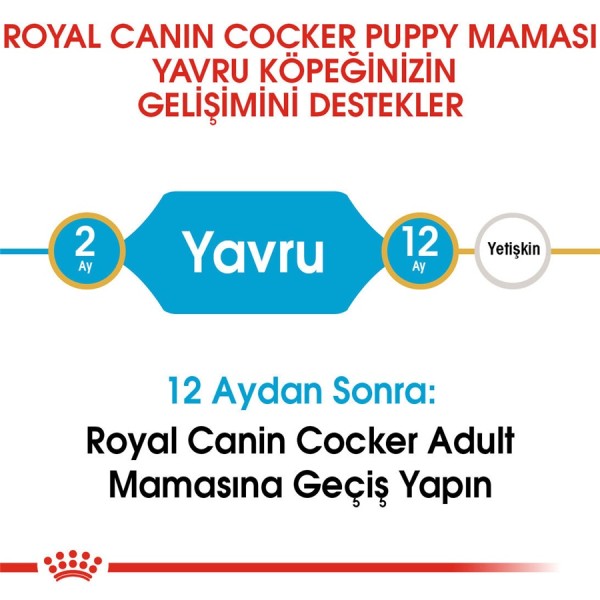 Royal Canin Cocker Puppy 3 Kg Yavru Köpek Maması