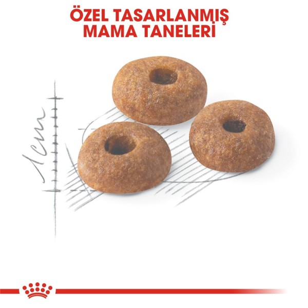Royal Canin Fit 32 400 g Yetişkin Kedi Maması