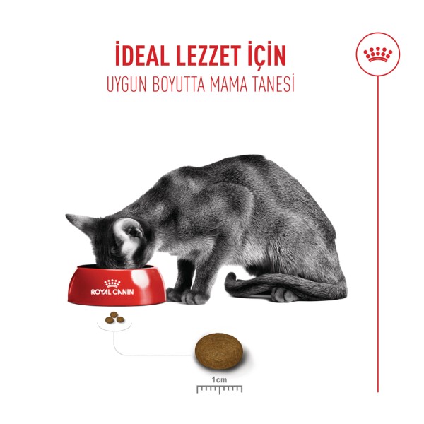 Royal Canin Fussy 400 Gr Seçici Yetişkin Kedi Maması