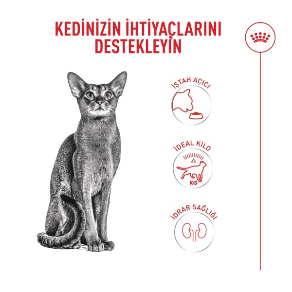 Royal Canin Fussy 400 Gr Seçici Yetişkin Kedi Maması