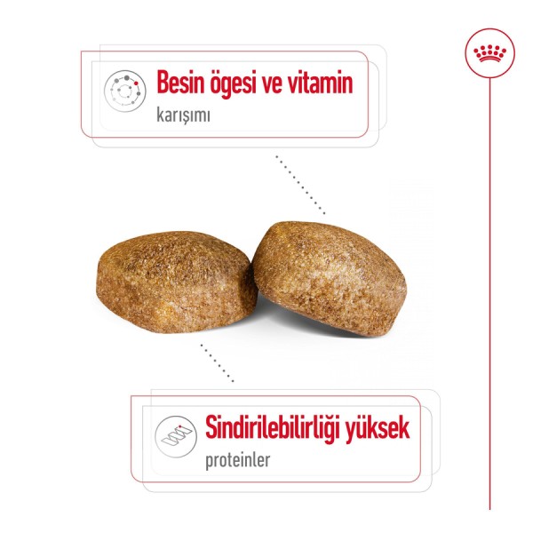 Royal Canin Giant Adult 15 Kg Dev Irk Yetişkin Köpek Maması