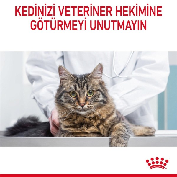 Royal Canin Hair & Skin Care 4 kg Yetişkin Kedi Maması