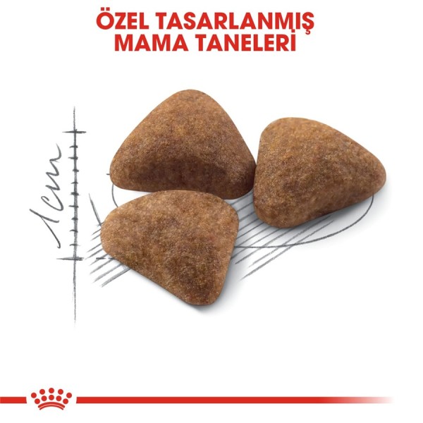 Royal Canin Indoor 27 400 g Yetişkin Kedi Maması