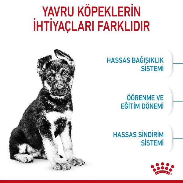 Royal Canin Maxi Puppy 10 kg Büyük Irk Yavru Köpek Maması