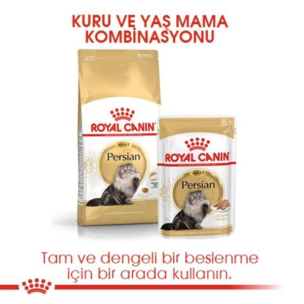 Royal Canin Persian Adult 10 kg Yetişkin Kedi Maması