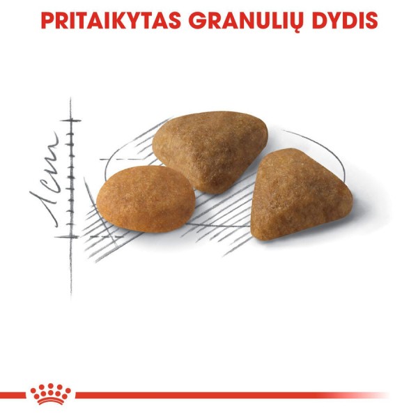 Royal Canin Savour Exigent 10 Kg Seçici Yetişkin Kedi Maması