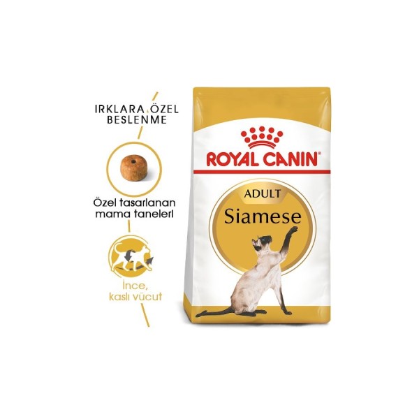 Royal Canin Siamese Adult 2 Kg Yetişkin Kedi Maması