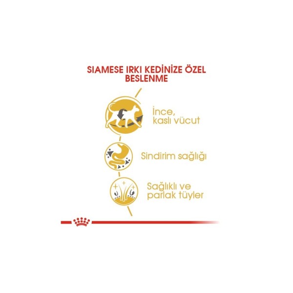 Royal Canin Siamese Adult 2 Kg Yetişkin Kedi Maması