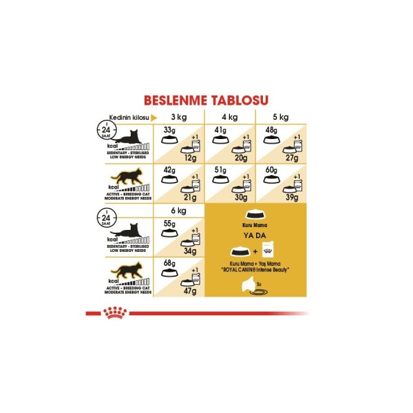 Royal Canin Siamese Adult 2 Kg Yetişkin Kedi Maması
