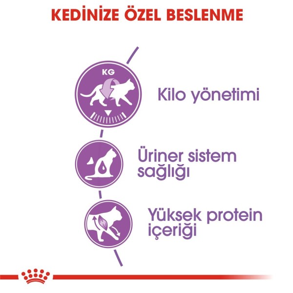 Royal Canin Sterilised 37 2 kg Kısırlaştırılmış Kedi Maması