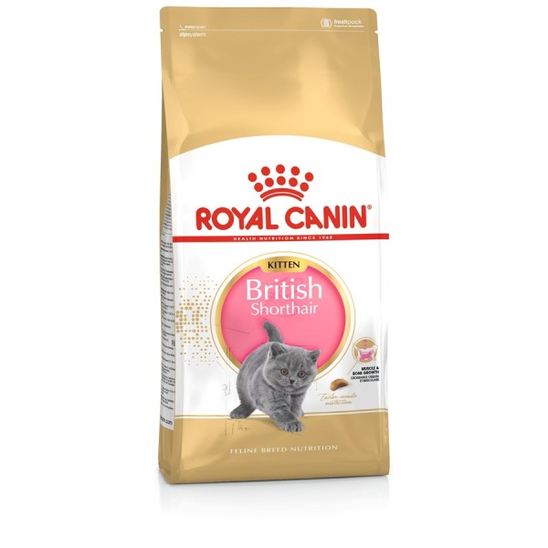 Royal Canin British Shorthair Kitten 2 kg British Shorthair Yavru Kedi Maması