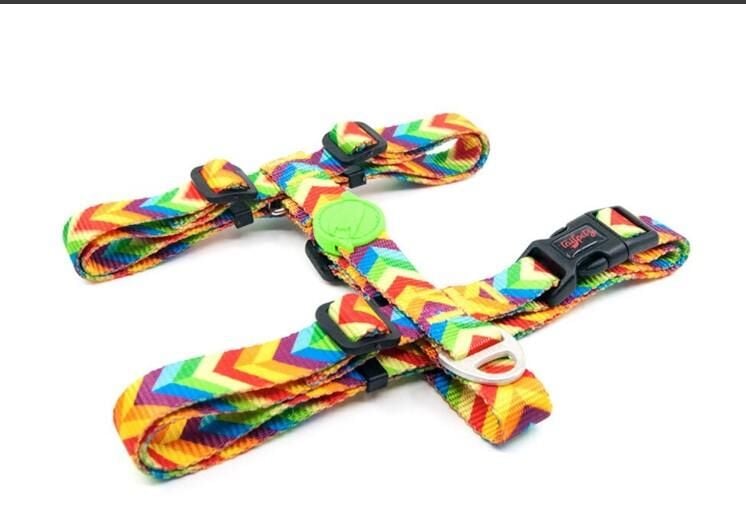 Tailpetz Rainbow Göğüs Tasmasi S