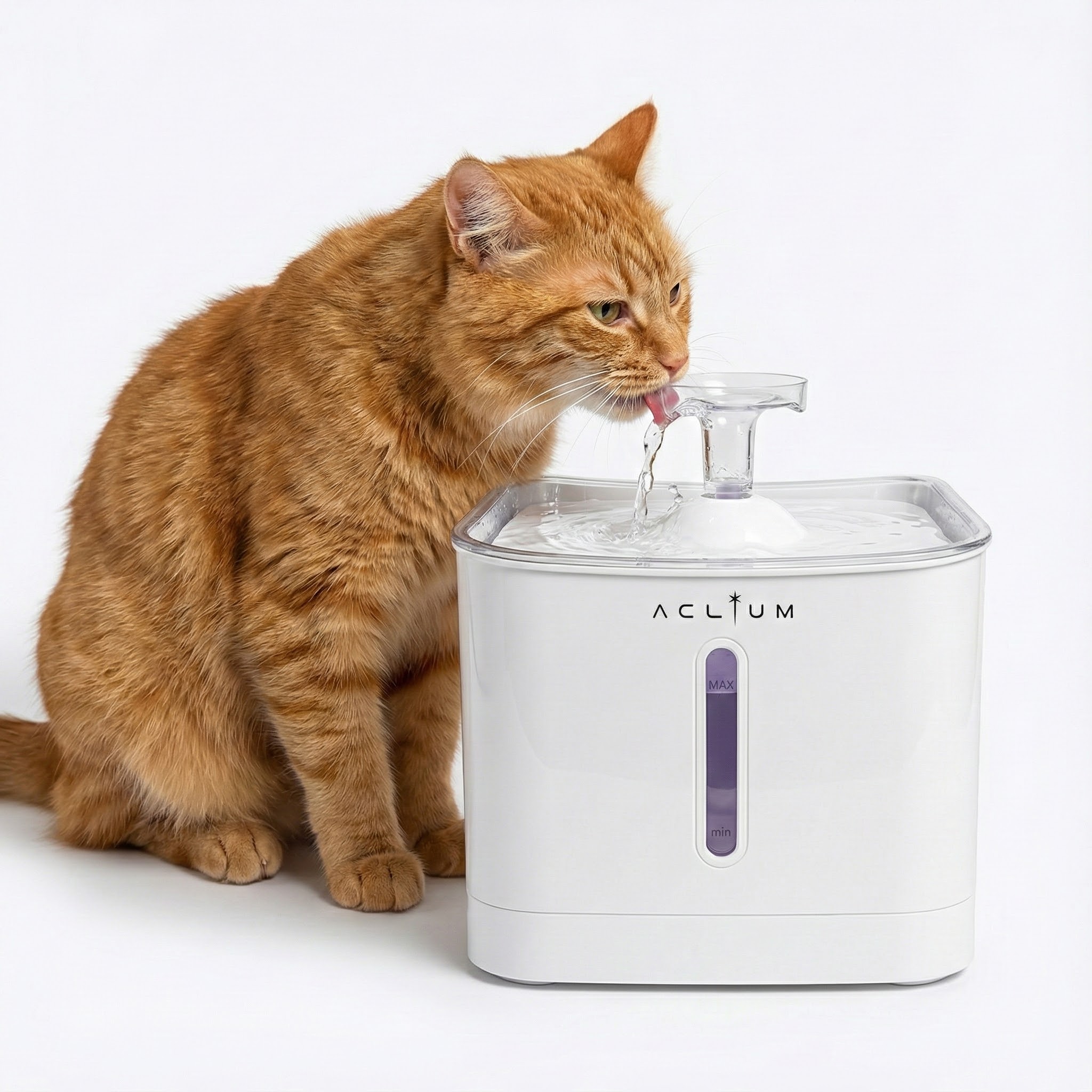 Aclium Kedi Su Sebili 2,4Lt