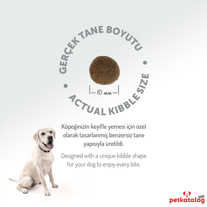 Felicia Preventive Care Adult Salmon Small 3 Kg Kolajen Destekli Hipoalerjenik Somonlu Küçük Irk Yetişkin Köpek Maması